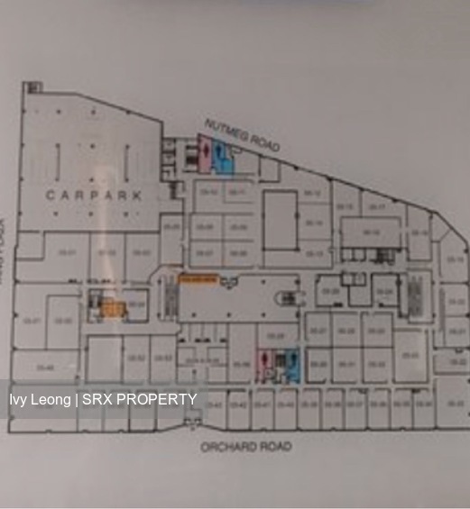 Lucky Plaza (D9), Apartment #225261821